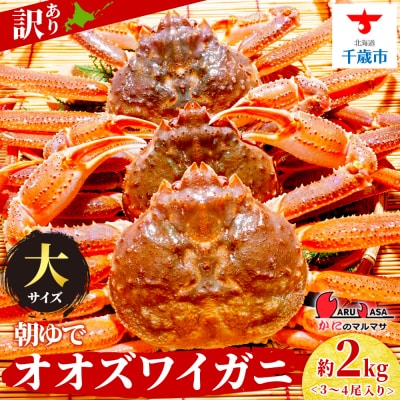 北海道産【 朝ゆで 】訳ありオオズワイガニ 2.0kg詰 道産品 ズワイガニ ずわい蟹 不揃い
