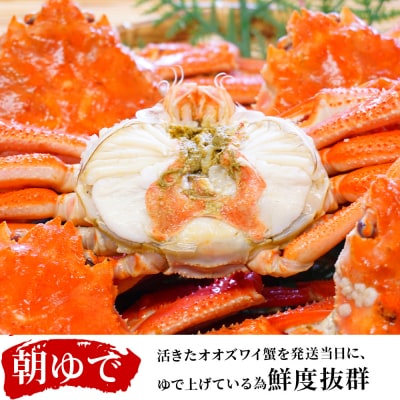 北海道産【 朝ゆで 】訳ありオオズワイガニ 3.0kg詰 道産品 ズワイガニ ずわい蟹 不揃い