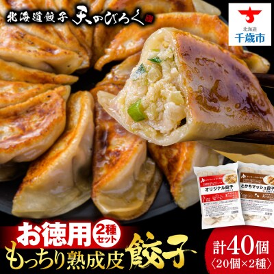 北海道餃子天のびろく　お徳用2種セット