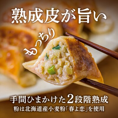 北海道餃子天のびろく　お徳用2種セット