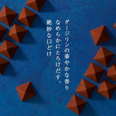 【ルタオ】 チョコレート ロイヤルモンターニュ 1箱 スイーツ ギフト