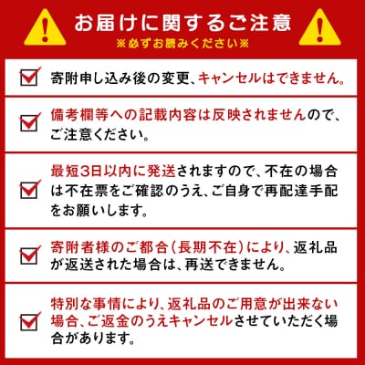 【定期便9ヶ月】キリンラガービール 500ml(24本)＜北海道千歳工場産＞