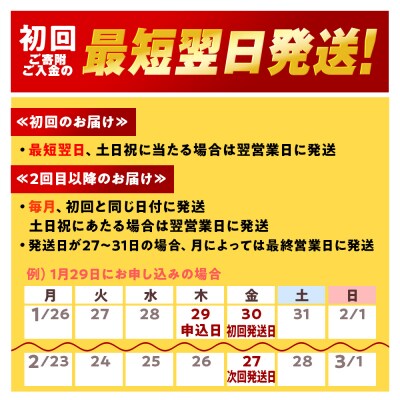 【定期便7ヶ月】キリン一番搾り生ビール 500ml(24本)＜北海道千歳工場産＞