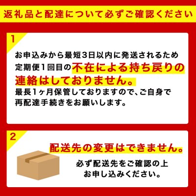 【定期便5ヶ月】キリンラガービール 350ml 2ケース(48本)＜北海道千歳工場産＞