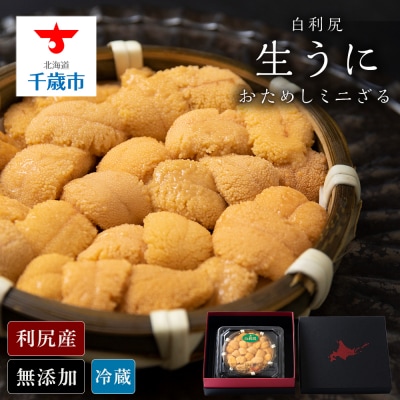 【2025年6月より発送】白利尻 生うに お試しミニざる ムラサキウ二 60g