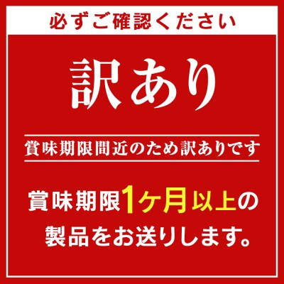 【訳あり】キリン本麒麟<北海道千歳工場産>500ml(24本)
