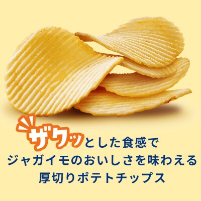 ポテトチップスザ厚切りのための コンソメ味 55g 24袋 2箱