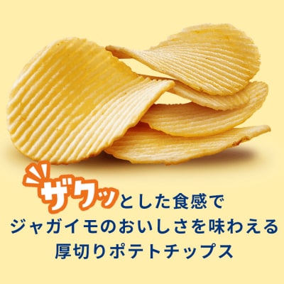 ポテトチップス ザ厚切りのための 2種セット うすしお6袋 コンソメ6袋 合計12袋 1箱