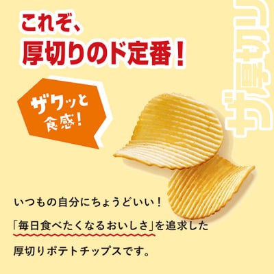 ポテトチップス ザ厚切りのための 2種セット うすしお6袋 コンソメ6袋 合計12袋 1箱