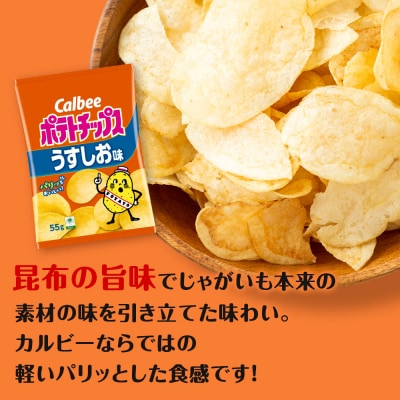 カルビーポテトチップス＜うすしお＞16袋入×1箱《北海道工場製造》