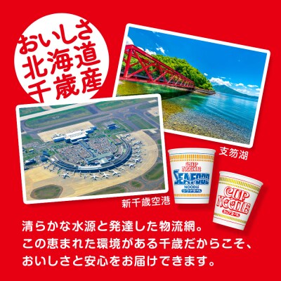 日清ヌードル2種セット カップヌードル・シーフードヌードル各20食