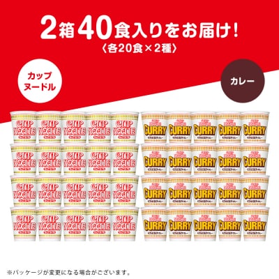 日清ヌードル2種セット カップヌードル・カレーヌードル各20食