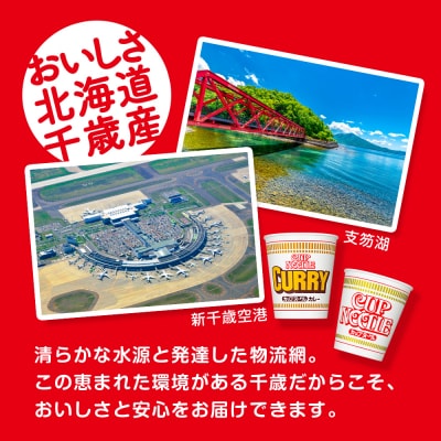 日清ヌードル2種セット カップヌードル・カレーヌードル各20食