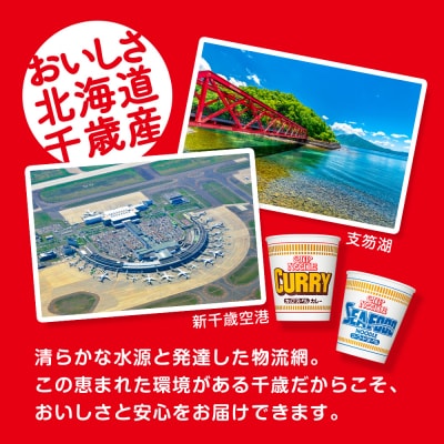 日清ヌードル2種セット シーフードヌードル・カレーヌードル各20食