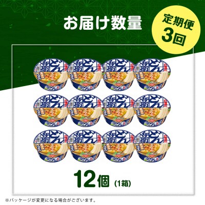【定期便3カ月】日清 北のどん兵衛 天ぷらうどん [北海道仕様]12個
