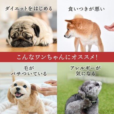 サーモン4点セット(4種類　各30g)