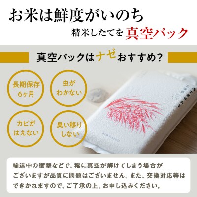 【定期便12回・下旬発送】北海道産ななつぼし 5kg(真空パック5kg×1袋) 