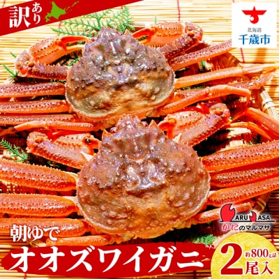 北海道産【 朝ゆで 】訳ありオオズワイガニ 800g詰 道産品