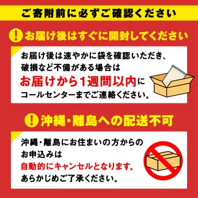 【定期便2回・下旬発送】北海道産ななつぼし 10kg(通常パック5kg×2袋)