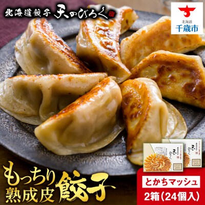 北海道餃子天のびろく　とかちマッシュ12粒入　2箱