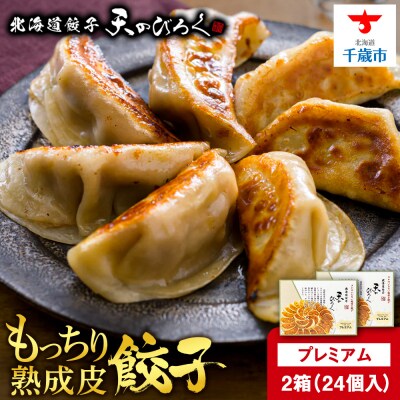 北海道餃子天のびろく プレミアム12粒入　2箱