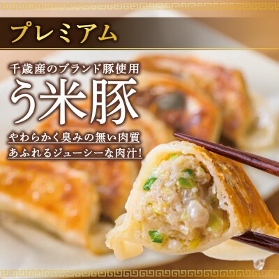 北海道餃子天のびろく プレミアム12粒入　2箱