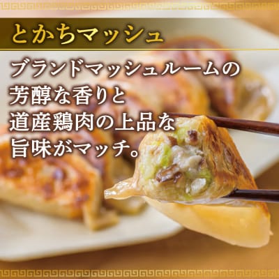 北海道餃子天のびろく　お徳用　とかちマッシュ20粒入　2袋