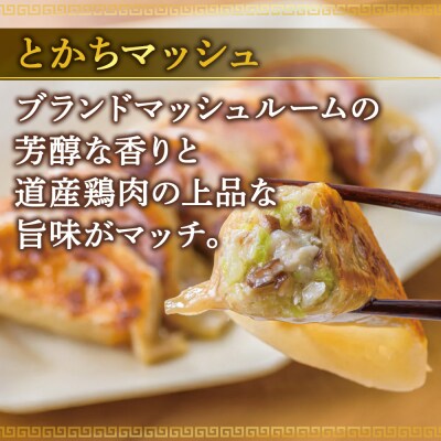 北海道餃子天のびろく　お徳用　とかちマッシュ20粒入　2袋