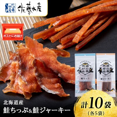 鮭チップ25g　鮭ジャーキー30g　各5袋 おつまみ おやつ 北海道 ＜佐藤水産＞