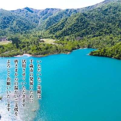 北海道 千歳市☆応援寄付金☆【返礼品なし】50,000円