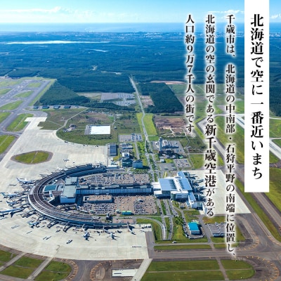 北海道 千歳市☆応援寄付金☆【返礼品なし】100,000円