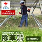 太陽光発電所　除草作業(低圧)