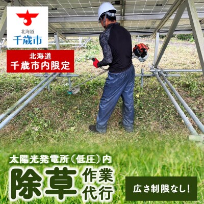 太陽光発電所　除草作業(低圧)