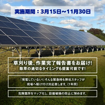 太陽光発電所　除草作業(低圧)