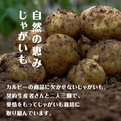 【北海道限定】カルビーポテトチップス<北海道バターしょうゆ味>16袋入×1箱