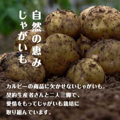 【定期便2カ月】【北海道限定】カルビーポテトチップス<北海道バターしょうゆ味>16袋入×2箱