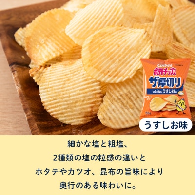 【定期便3カ月】ザ厚切りのための うすしお味 24袋 2箱 カルビー ポテトチップス 