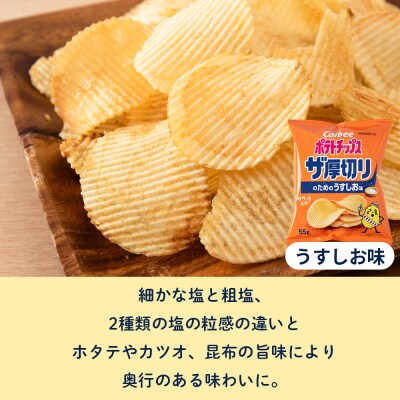 【定期便5カ月】ザ厚切りのための うすしお味 24袋 2箱 カルビー ポテトチップス 