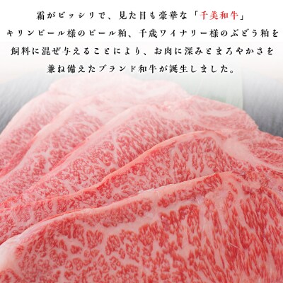 ちとせ和牛「千美」サーロインステーキ　200g×5枚＜肉の山本＞