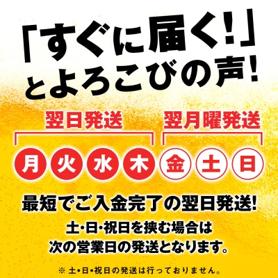 【限定醸造】 キリン秋味 < 北海道千歳工場産 > 350ml ( 24本 ) キリンビール