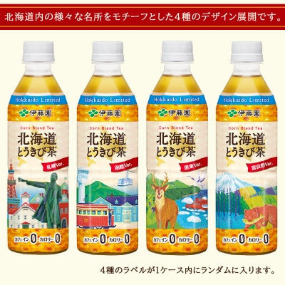 【定期便2カ月】北海道とうきび茶 500ml×24本×2ケース【北海道限定】