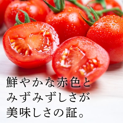 【2026年発送】〈萬福農研〉産地直送!ミニトマト(プレミアムルビー) 2kg