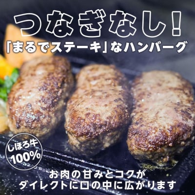しほろ牛100%熟旨バーグ3個セット