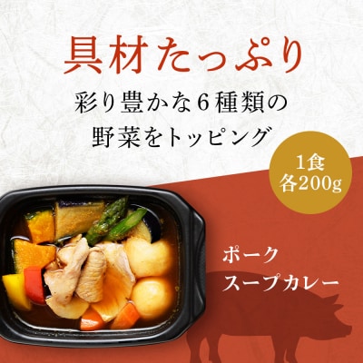 3種のスープカレー シーフード・チキン・ポーク 3種セット 各200g×2【札幌バルナバフーズ】