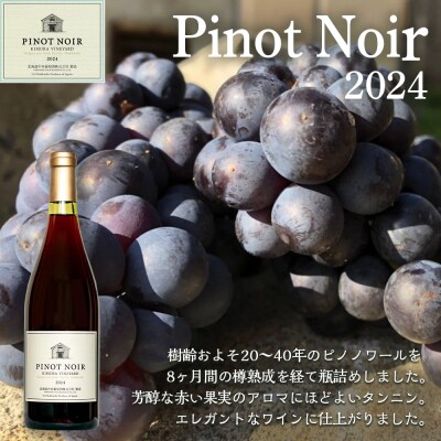 【数量限定】北ワインピノノワール2024&北ワインケルナー2025 750ml×各1本