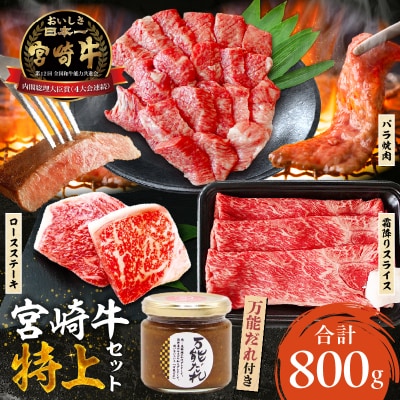 宮崎牛 特上セット800g 万能だれ付き