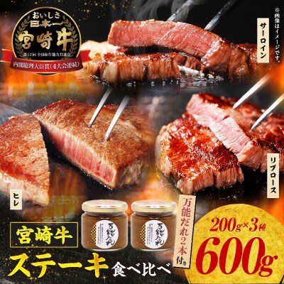 宮崎牛 ステーキ食べ比べセット600g 万能だれ付き
