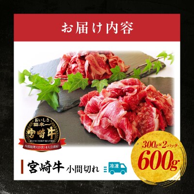 宮崎牛 こま切れ600g