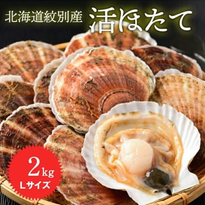 北海道紋別産 活ホタテ2kg(Lサイズ)