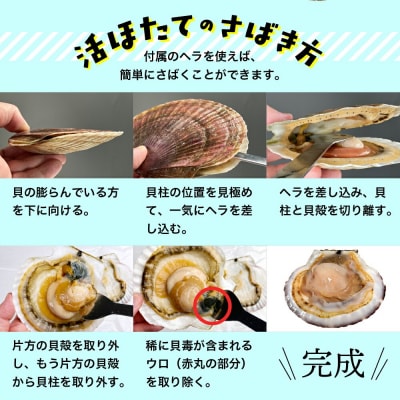 北海道紋別産 活ホタテ2kg(Lサイズ)